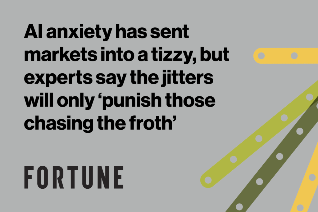 AI anxiety has sent markets into a tizzy, but experts say the jitters will only ‘punish those chasing the froth’